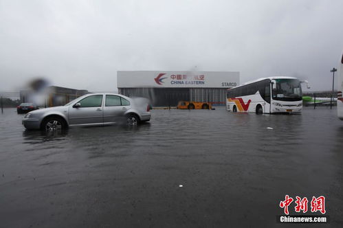 上海遭遇特大暴雨，市民頂風冒浪頑強前行